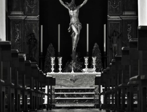 EL SANTÍSIMO CRISTO, SEÑOR DE LA HISTORIA DE ALMOGÍA.